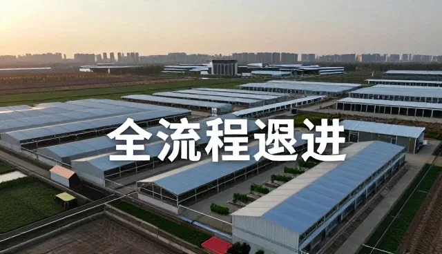 技术转让中的性能优化如何推动业务效率提升